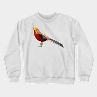 Golden pheasant bird cartoon illustration Crewneck Sweatshirt